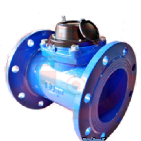 Water Meter Westechaus 6 Inch (150 MM)